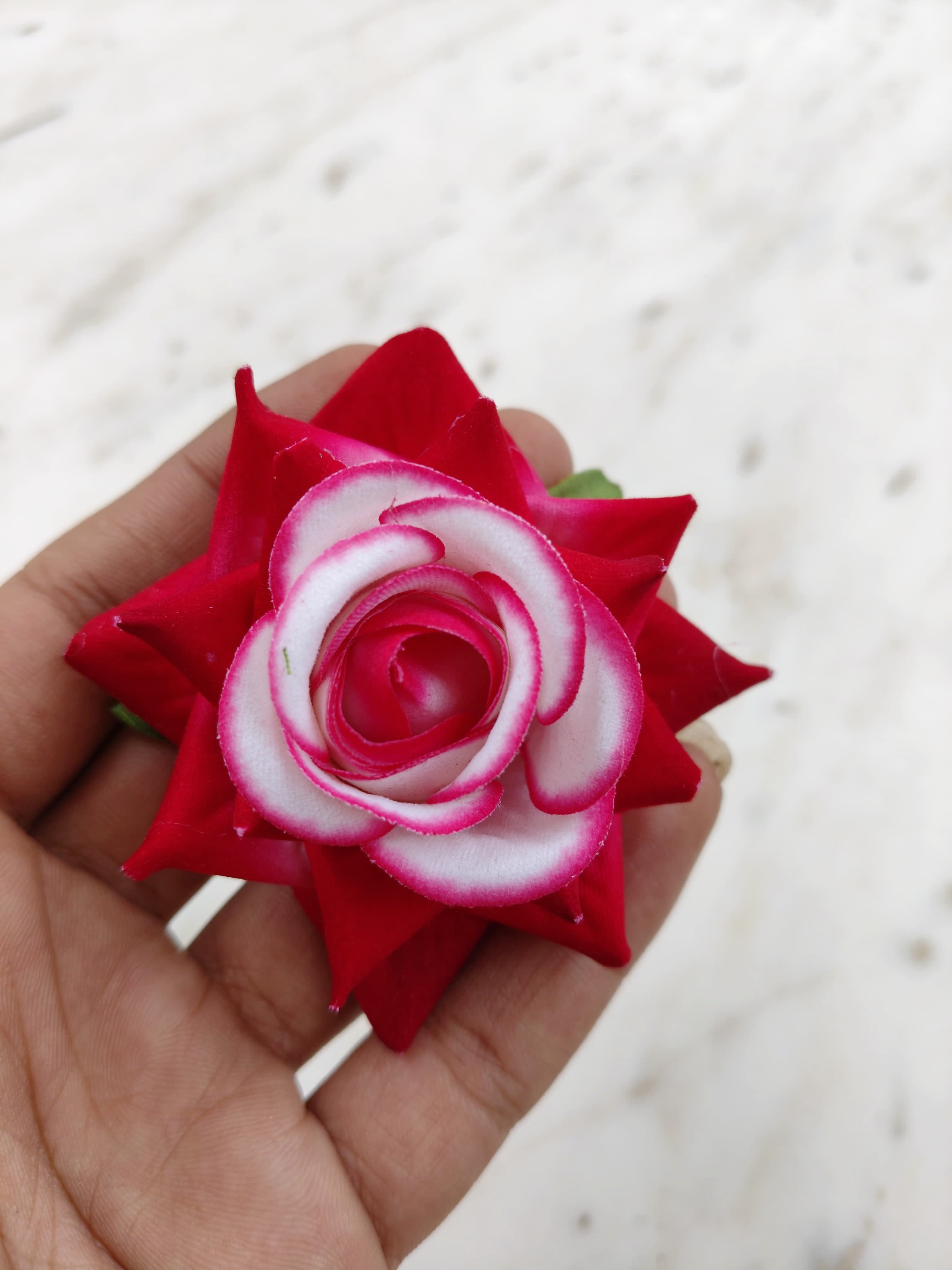Dark Pink Shaded Velvet Rose