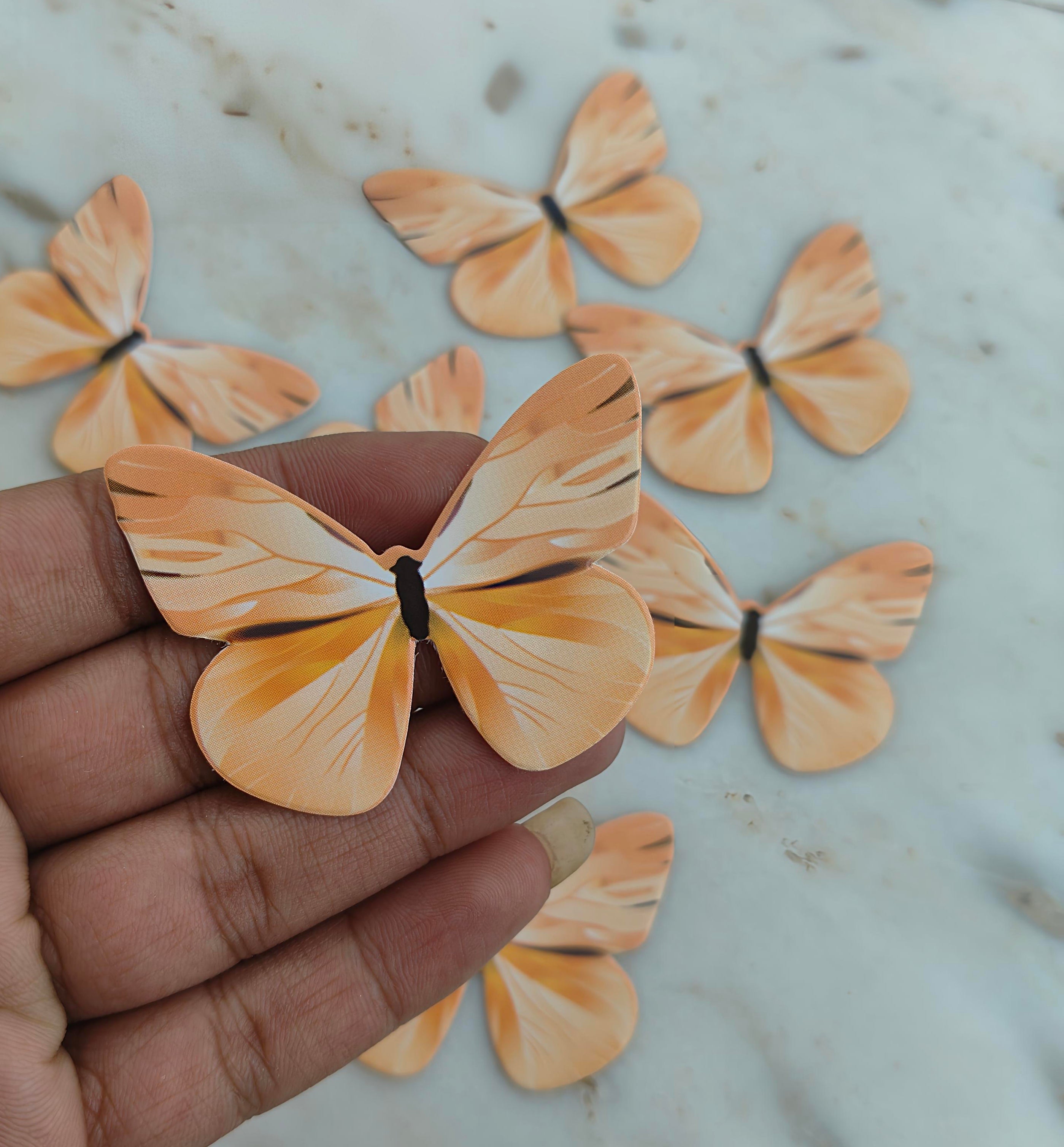 Paper Butterfly P-34