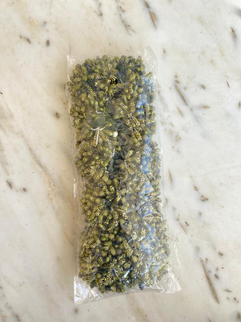 Green Pollen Packet