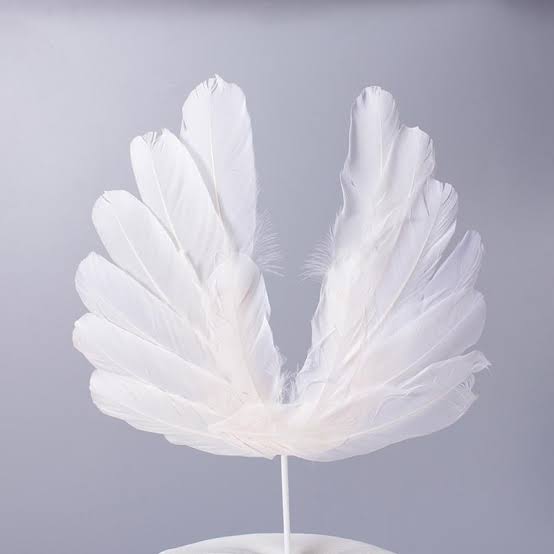 White Feather