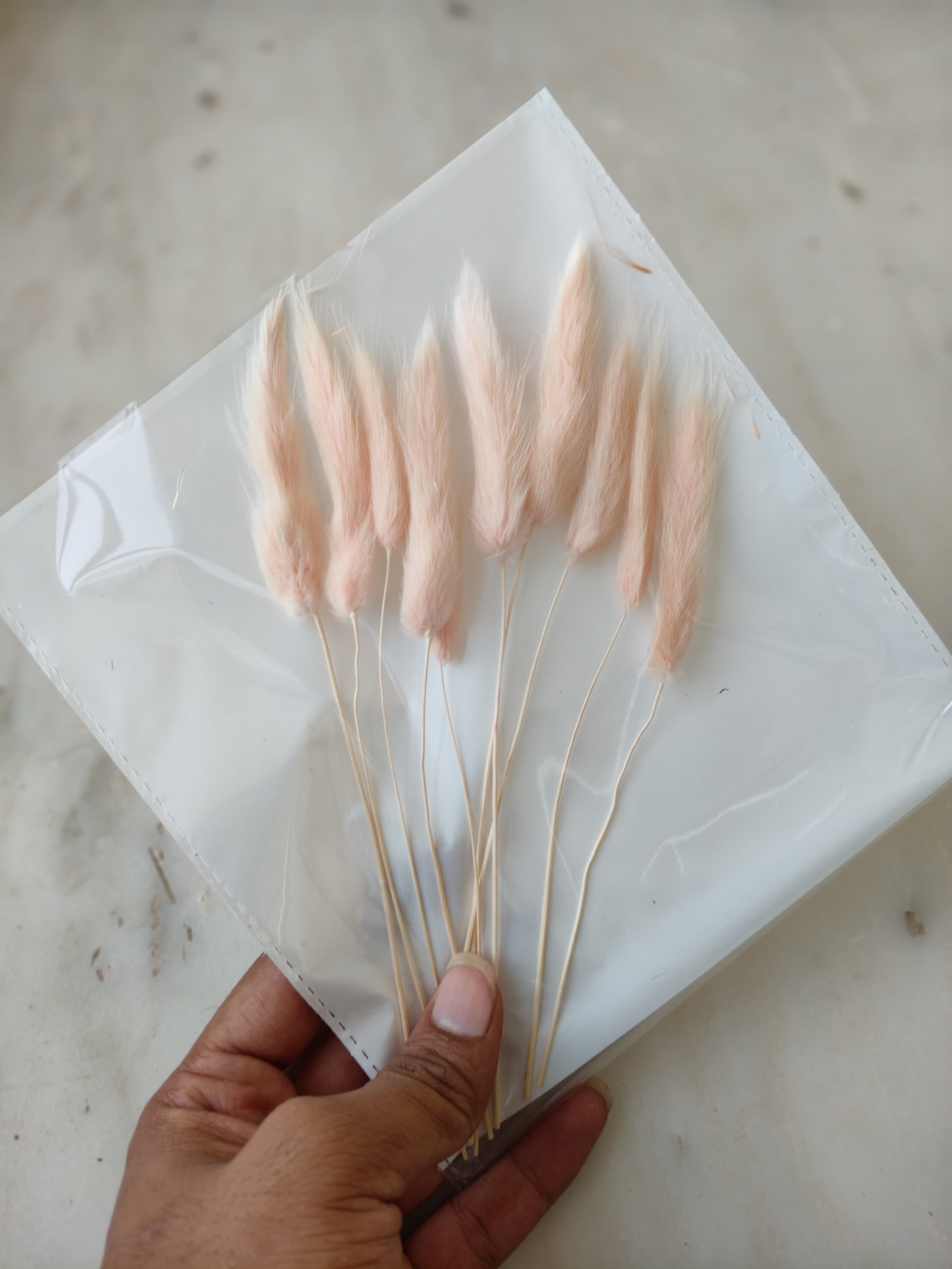 Bunny Tails B-07