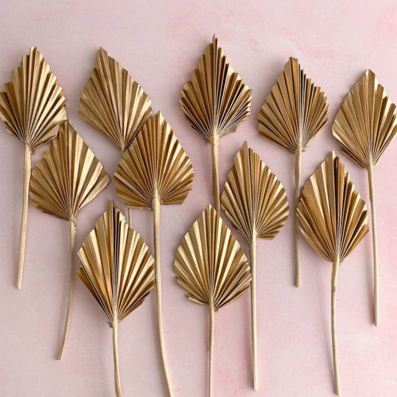 Natural Palm Leaf