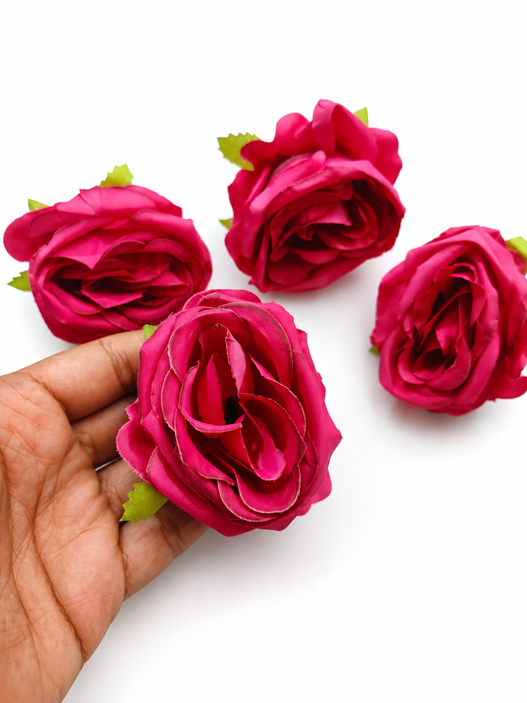 Big roses (06)