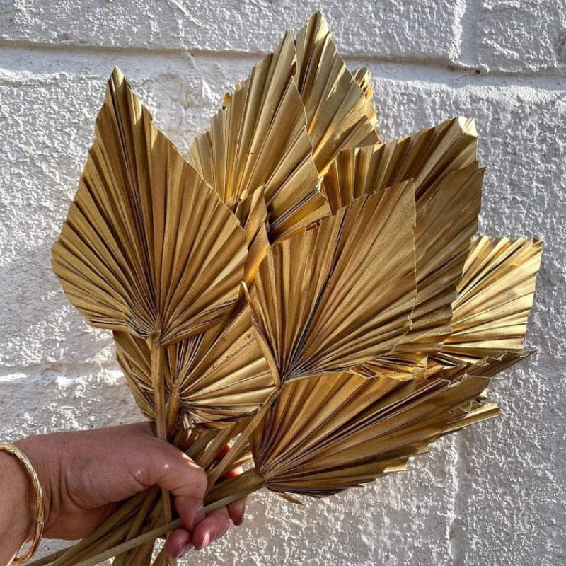 Natural Palm Leaf