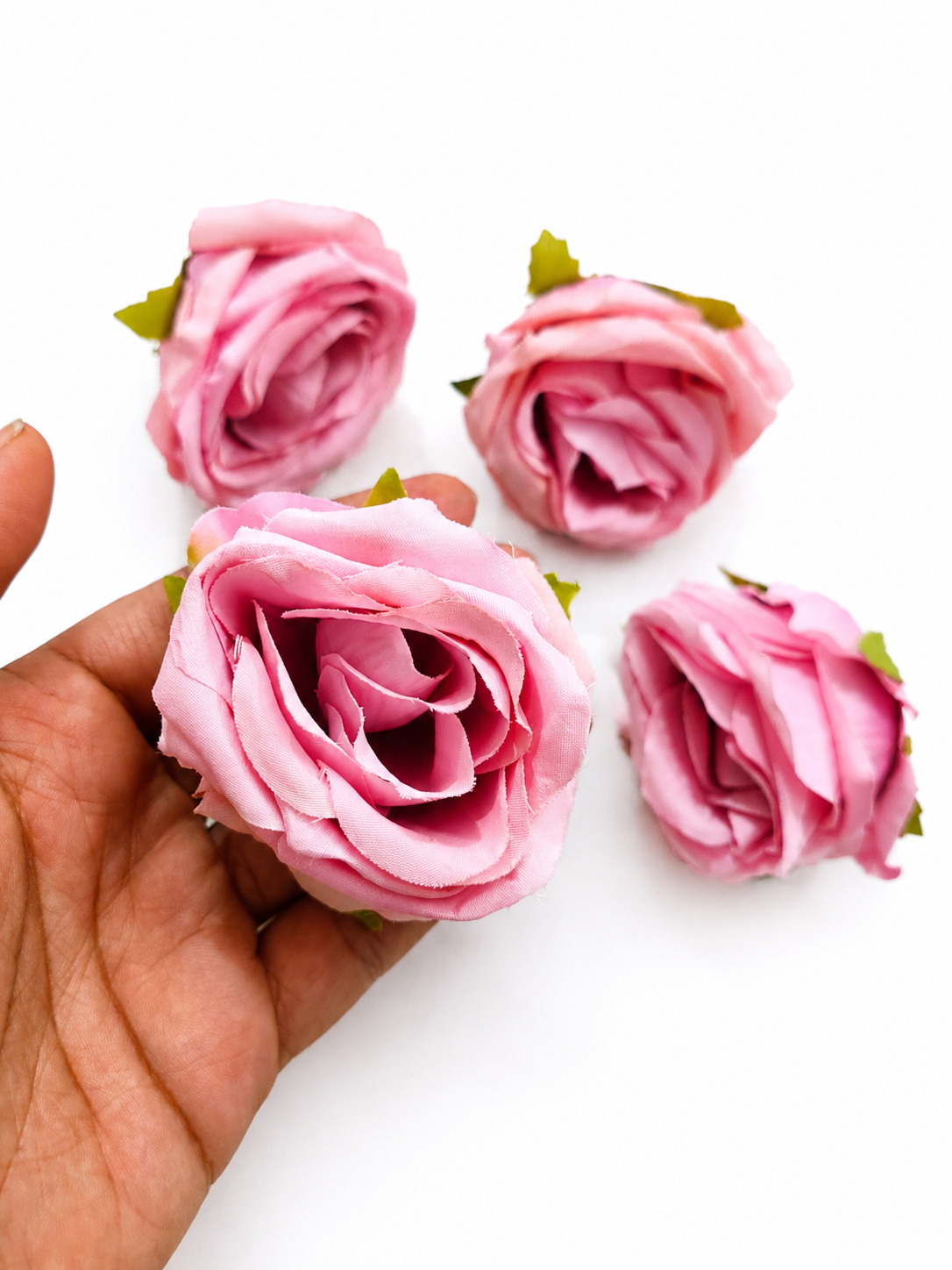Big roses (02)