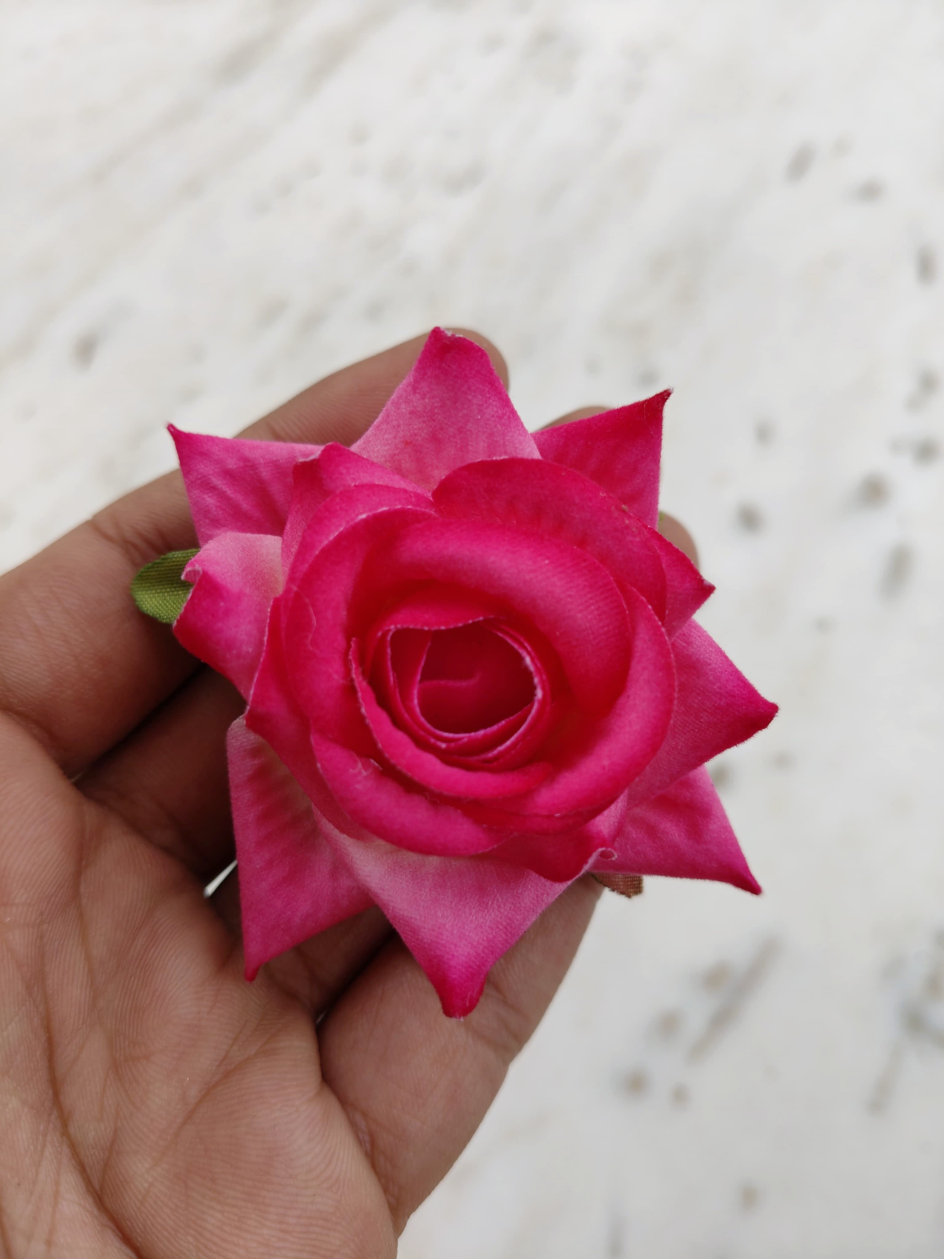 Pink Velvet Rose