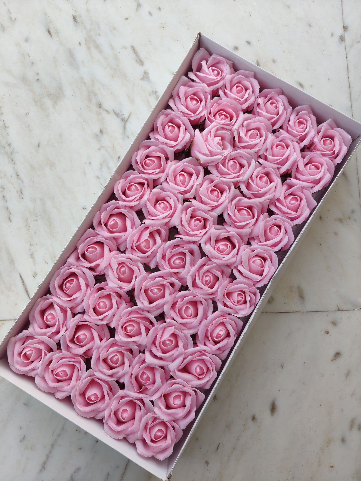 Pink Scented Rose
