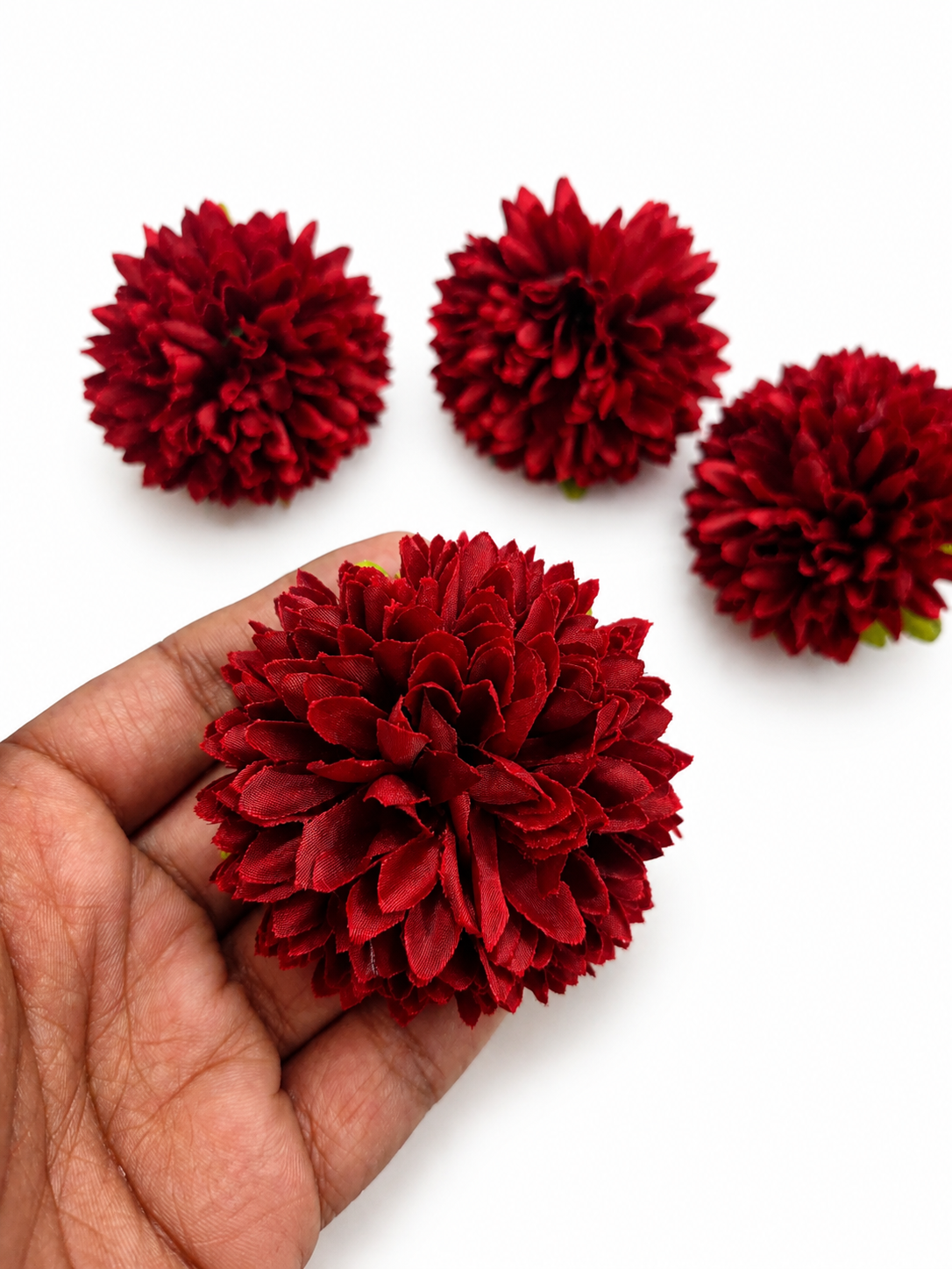 Red Dahlia