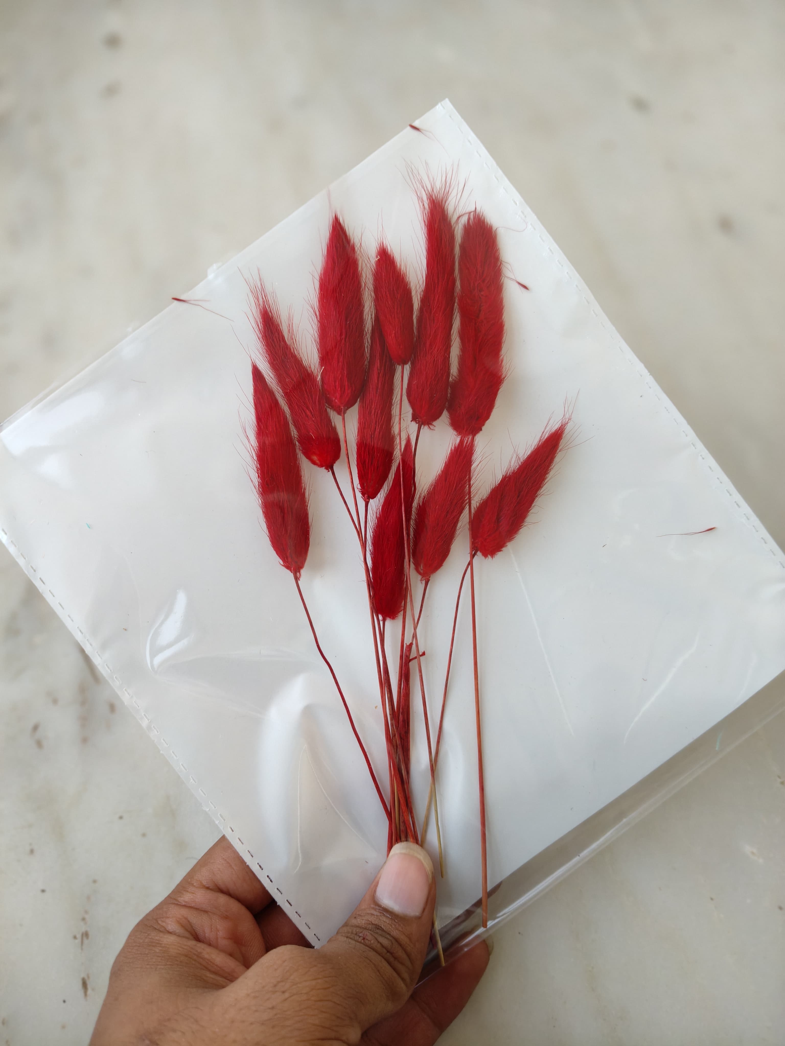 Bunny Tails B-03