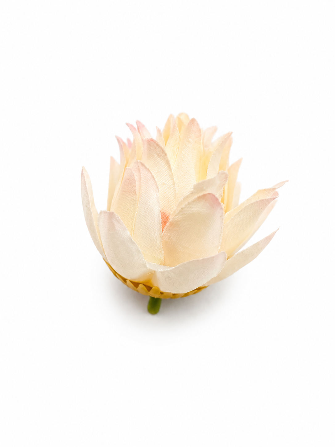 Lotus (L05)