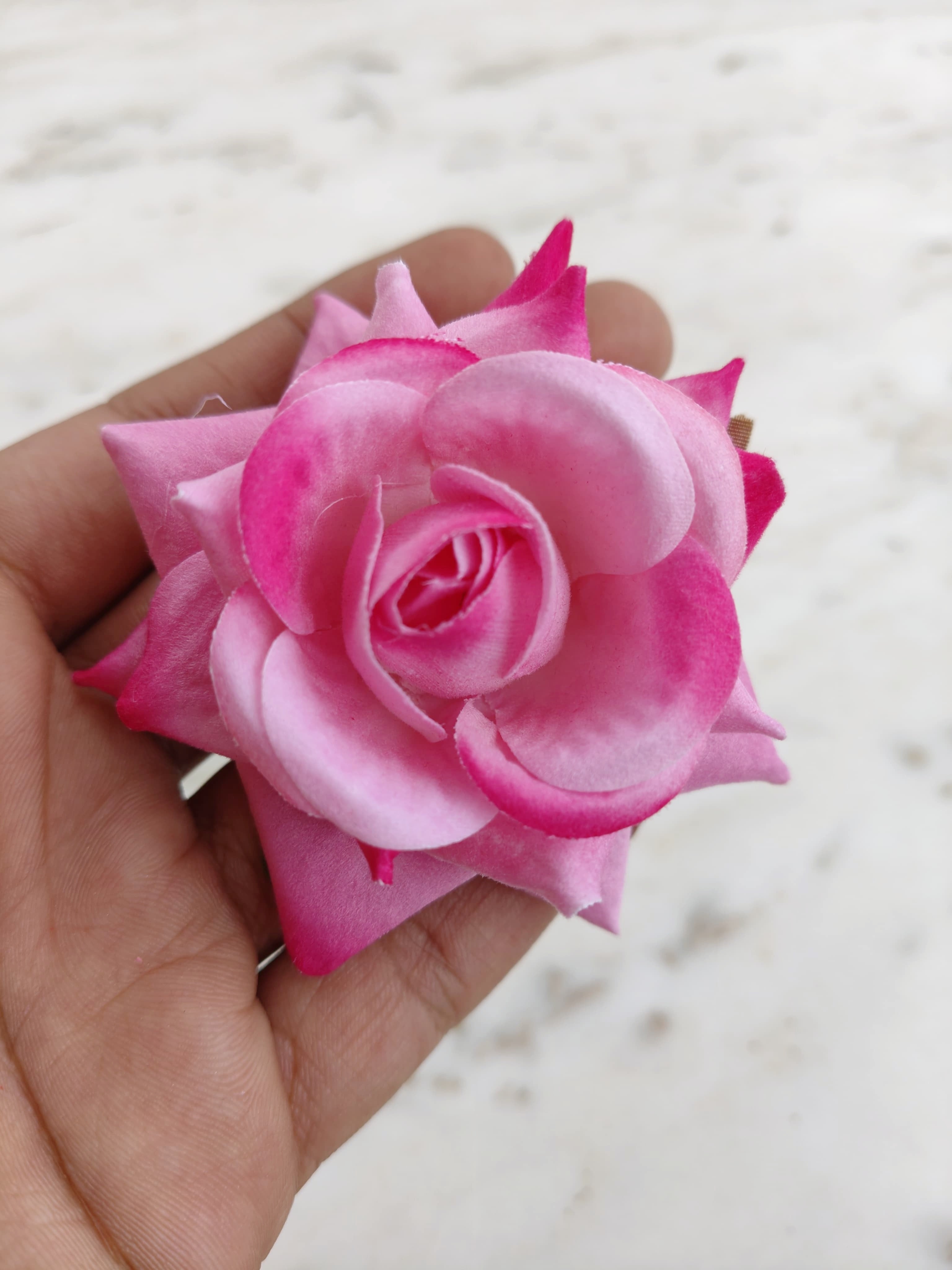 Pink Shaded Velvet Rose