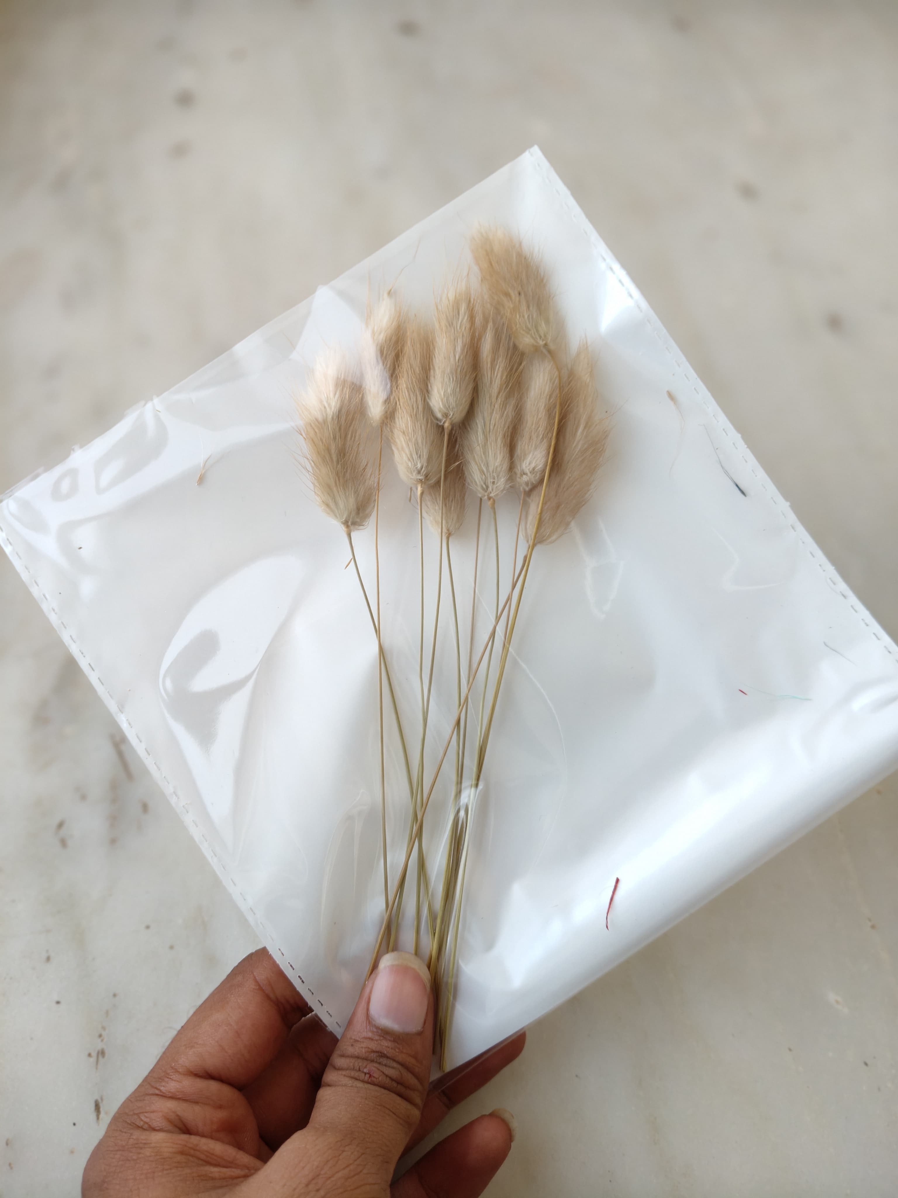 Bunny Tails B-01