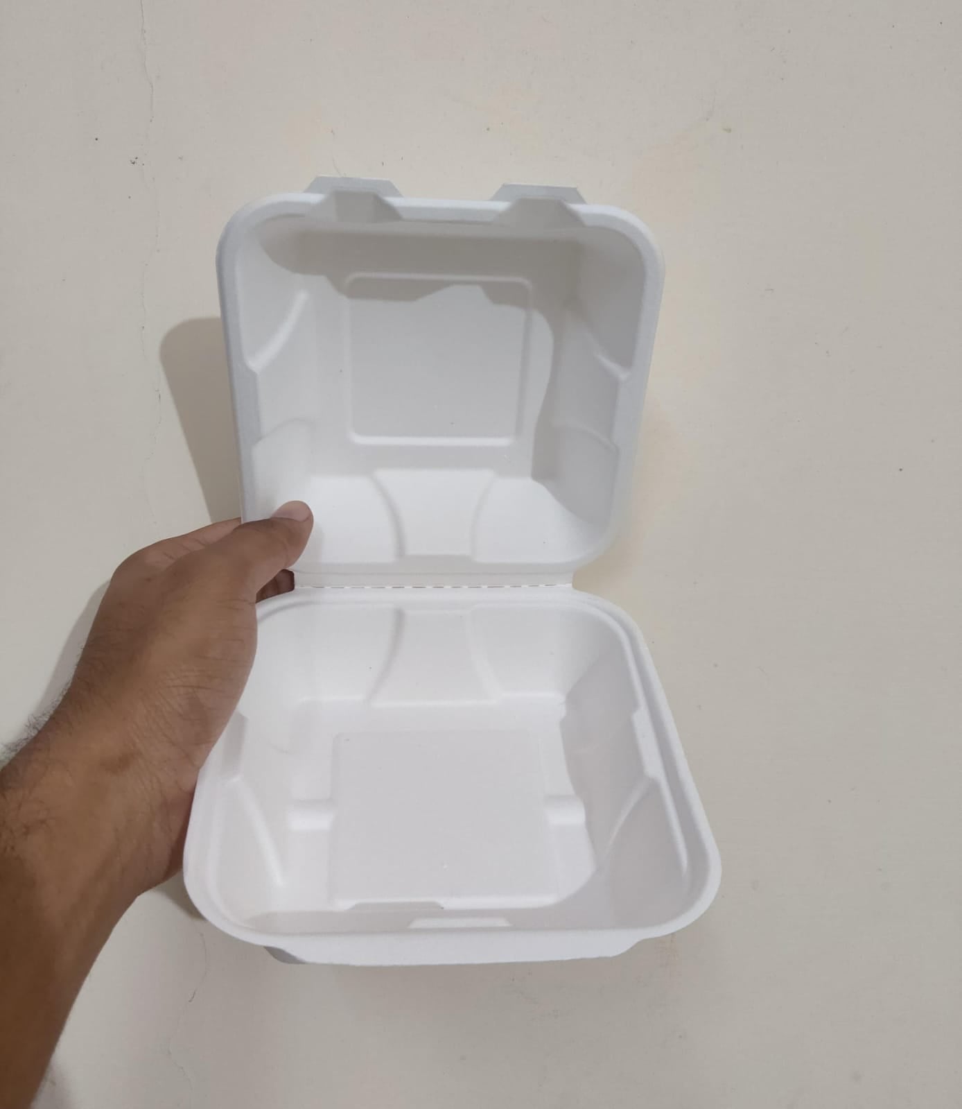 Bento Boxes (6 By 6 Inches)