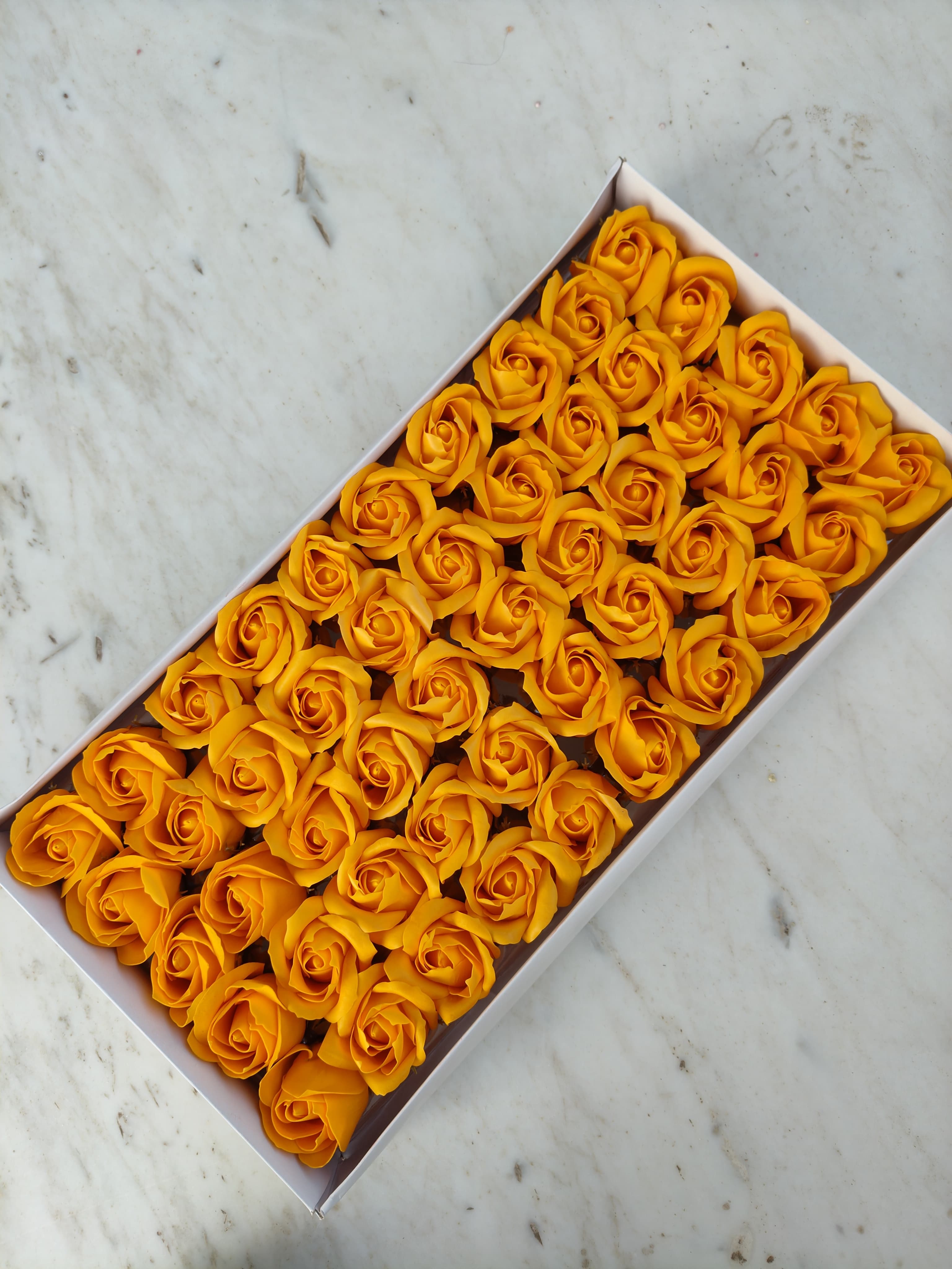 Orange Scented Rose