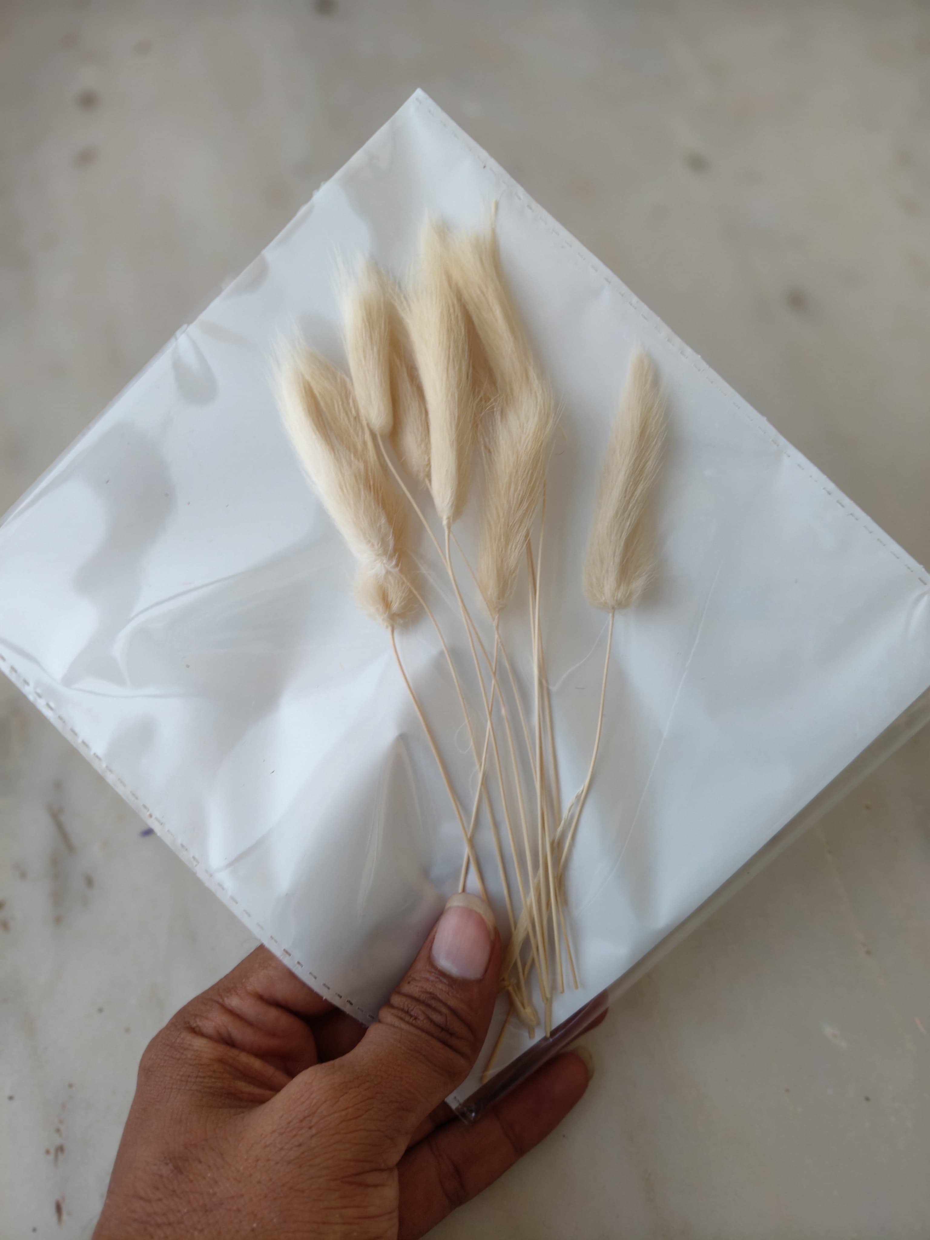 Bunny Tails B-04