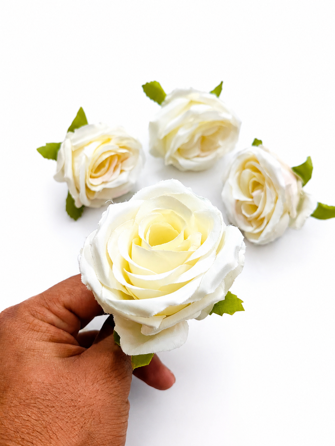 Big roses(01)