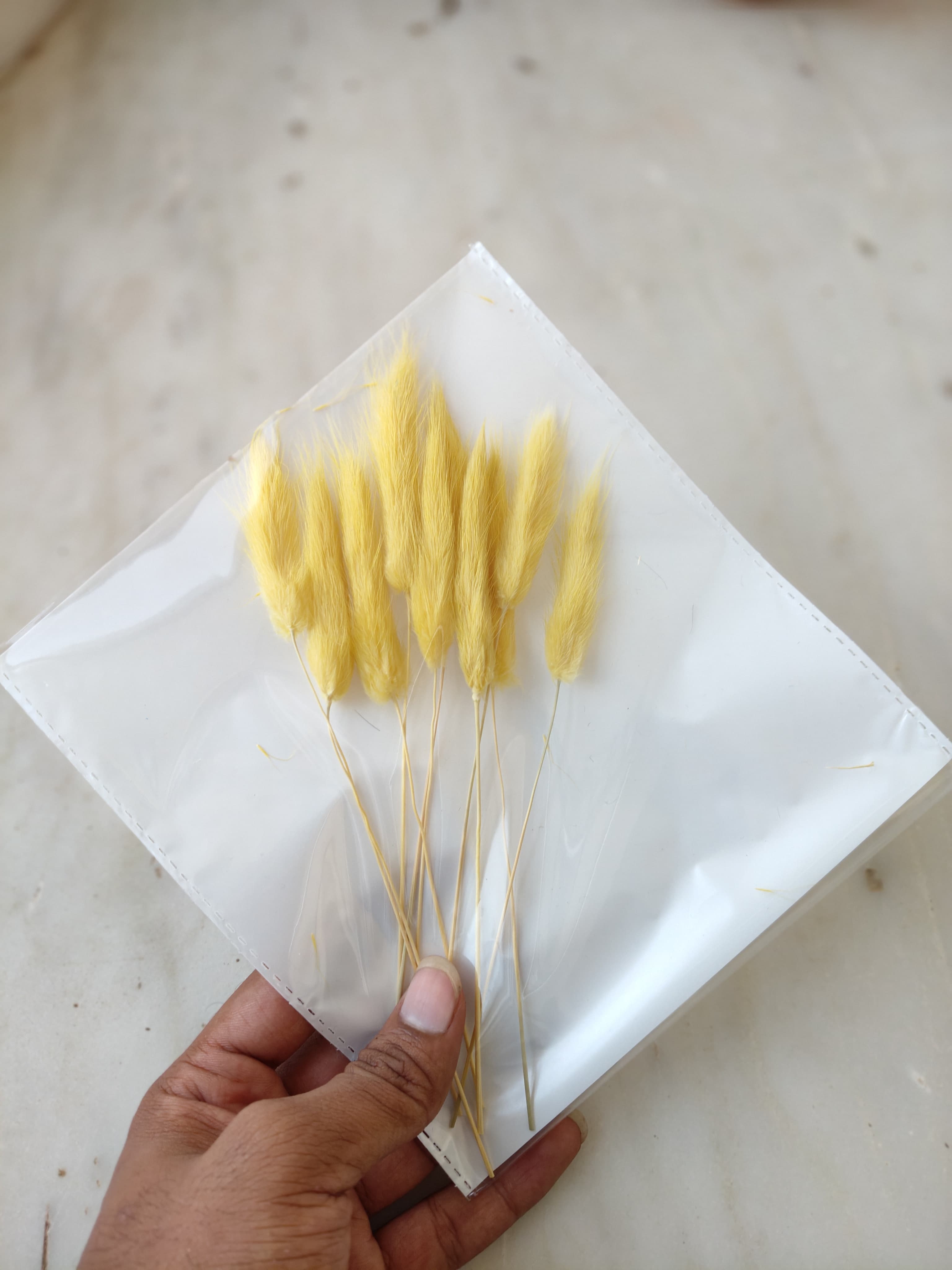 Bunny Tails B-08
