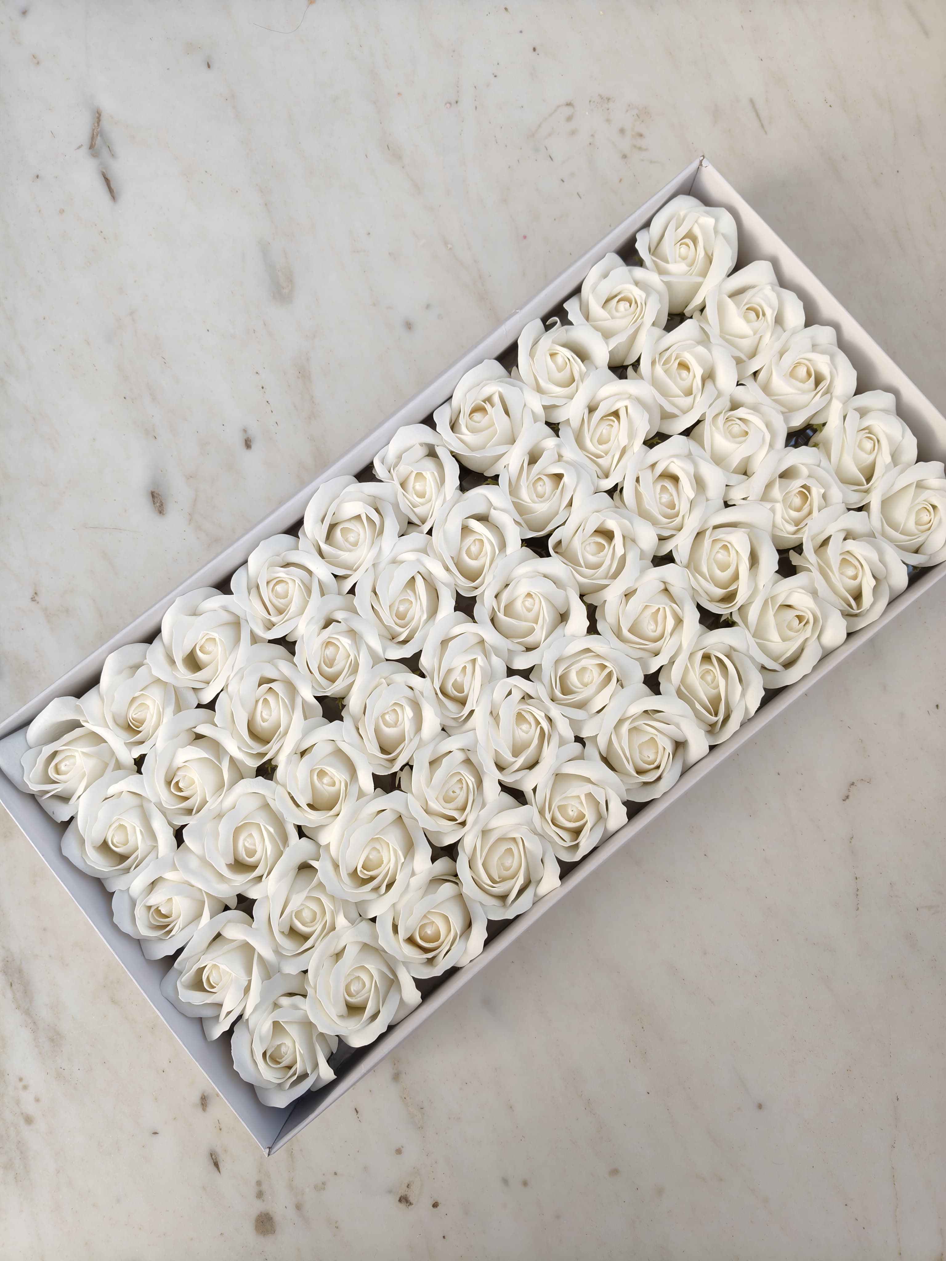 White Scented Rose