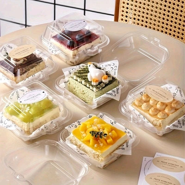 Transparent Bento Box