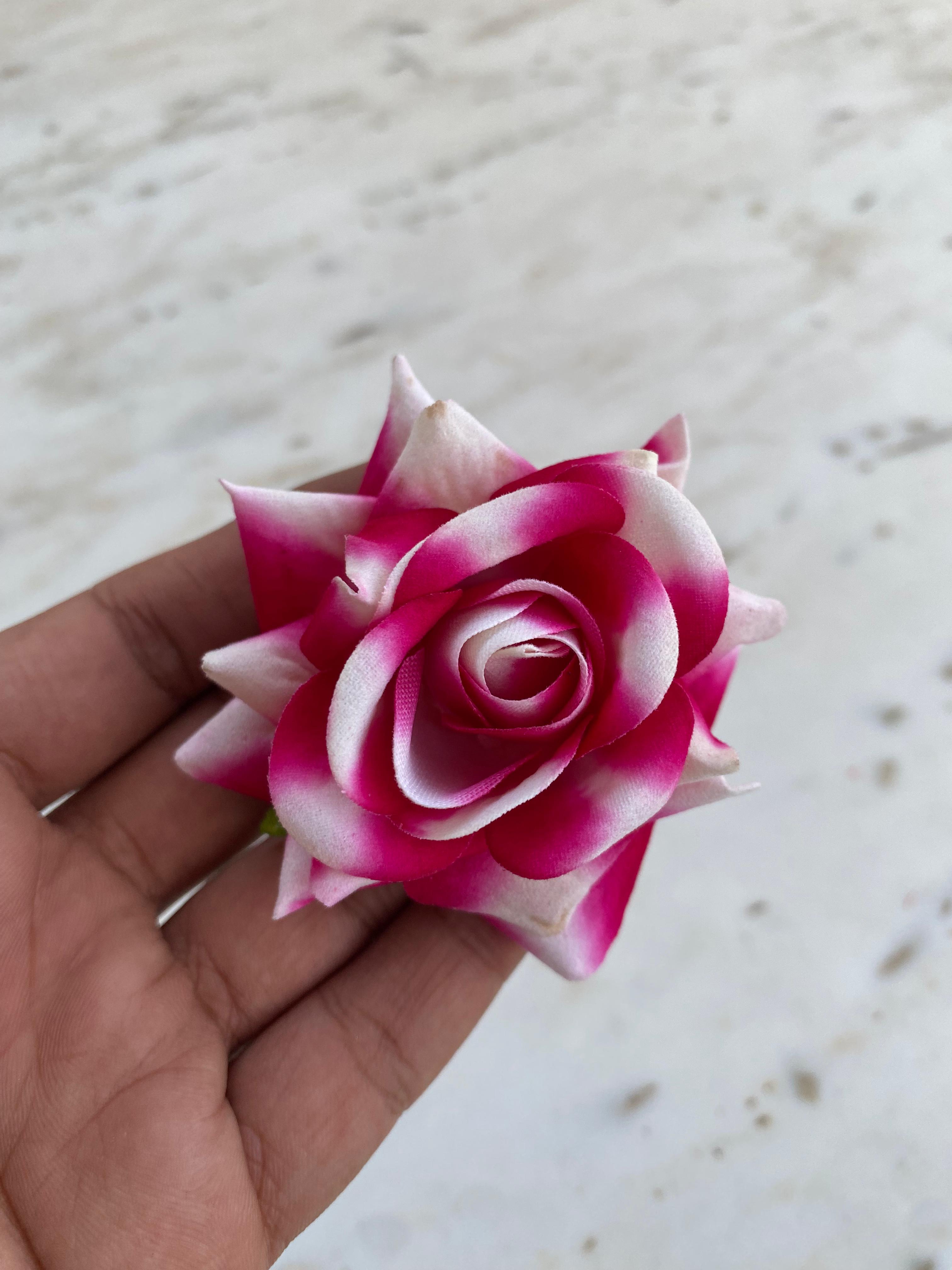 Shaded Velvet Rose