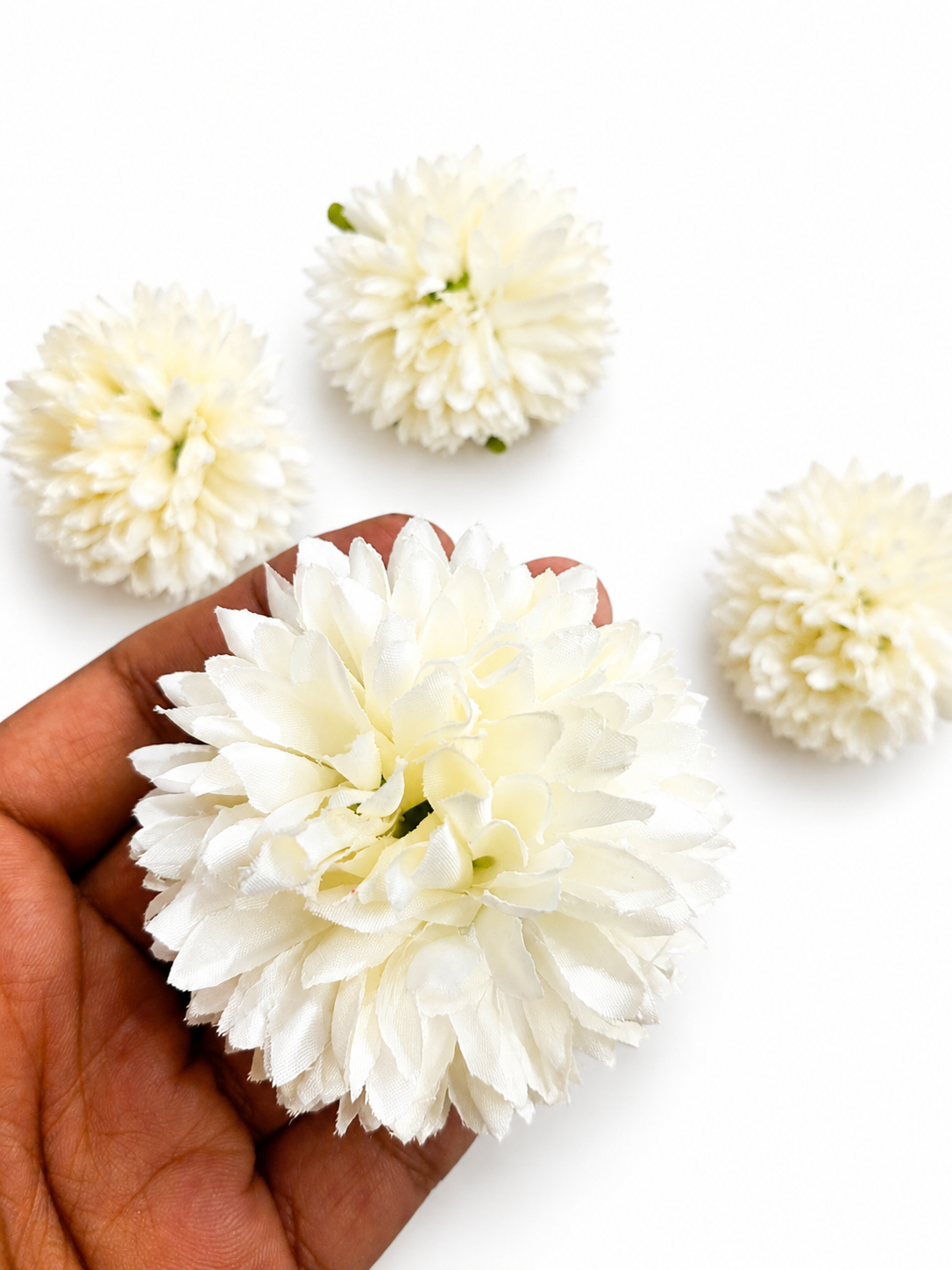 White Dahlia