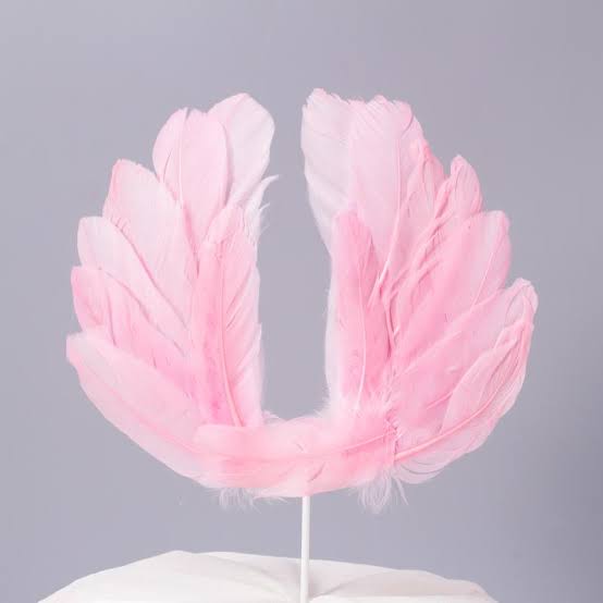 Pink Feather