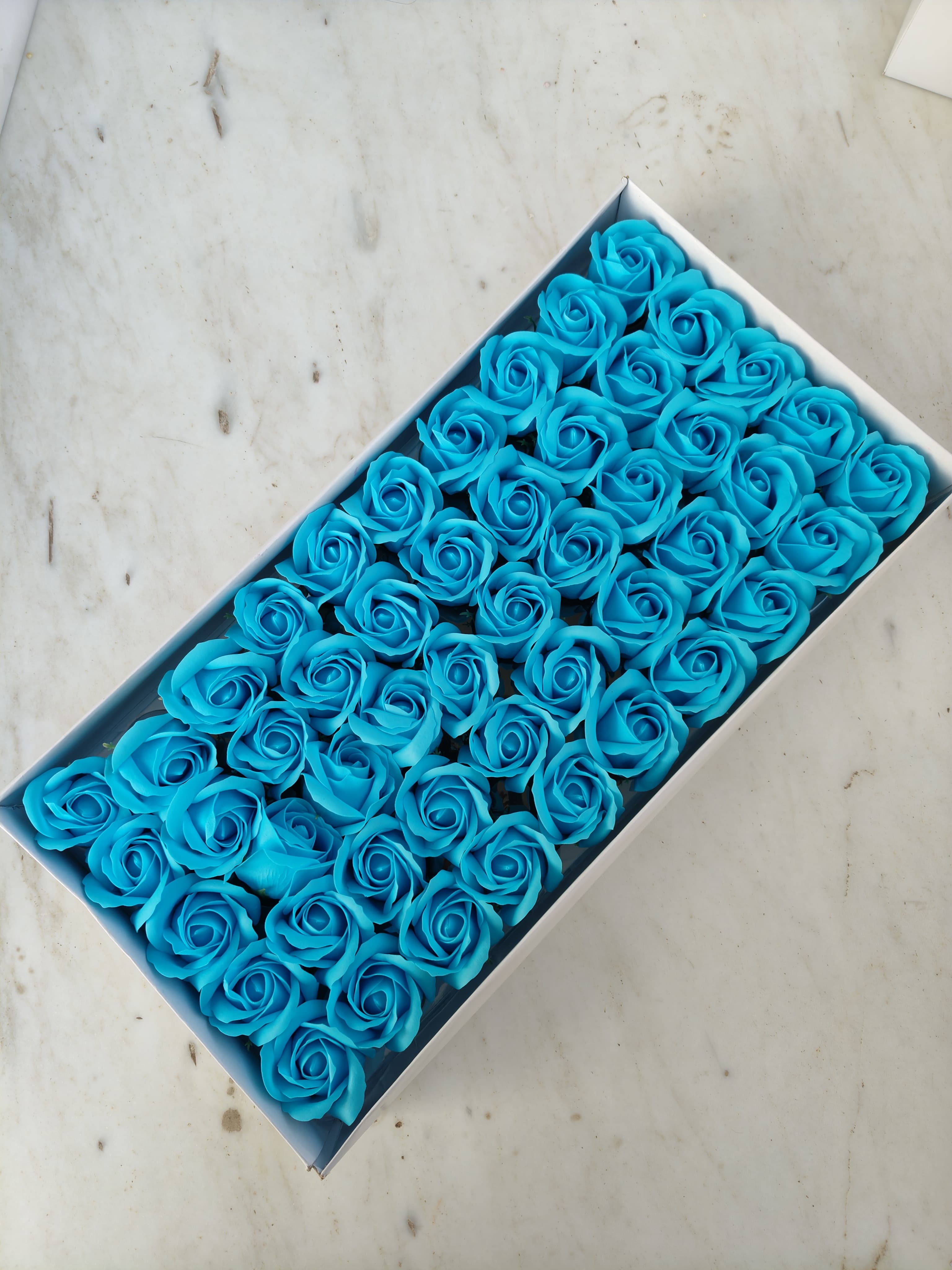 Blue Scented Rose