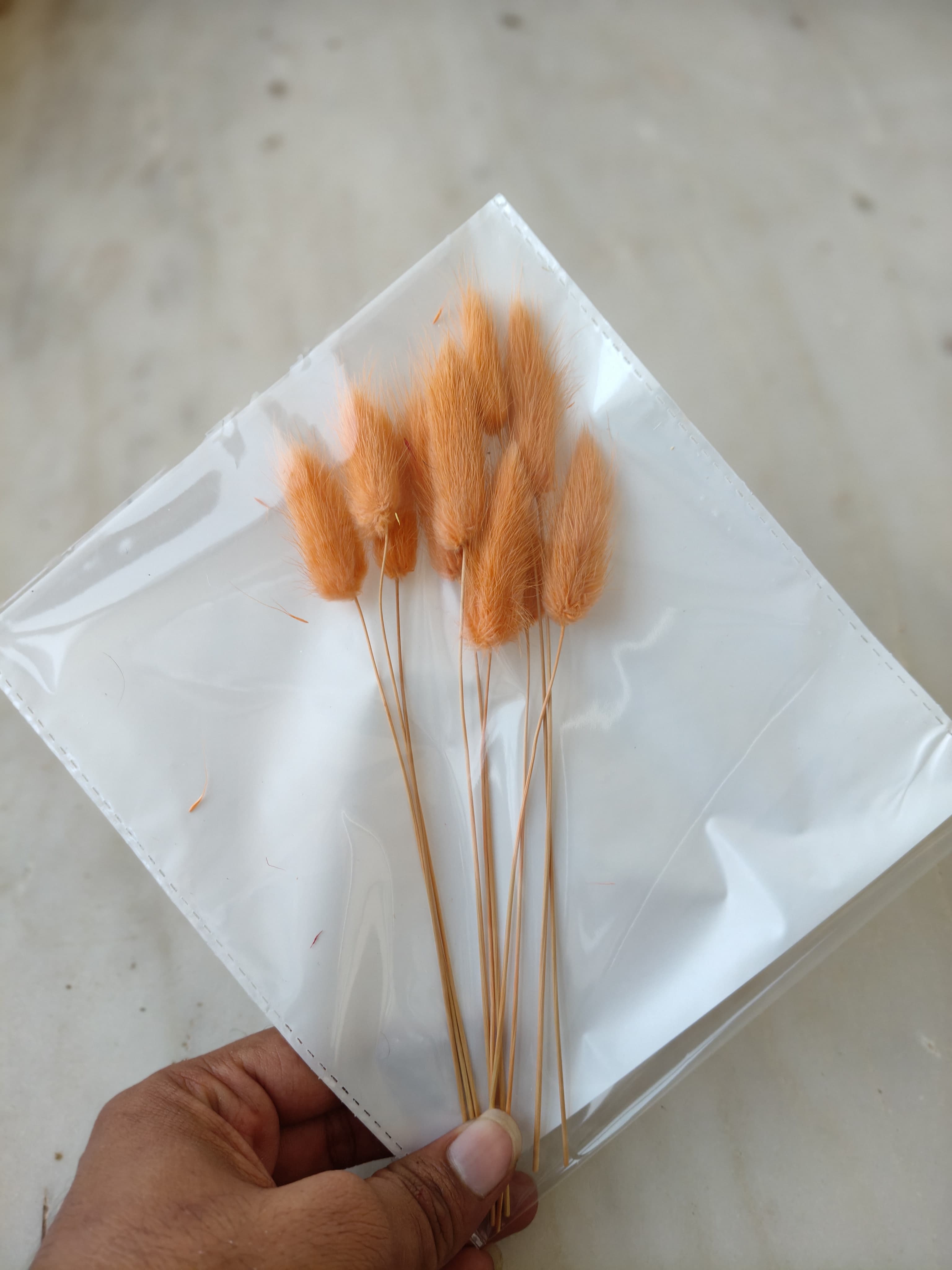 Bunny Tails B-09