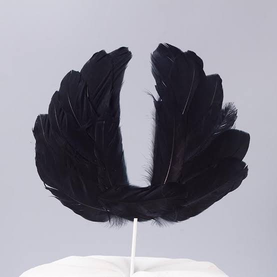 Black Feather